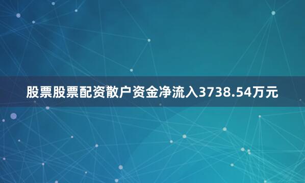 股票股票配资散户资金净流入3738.54万元