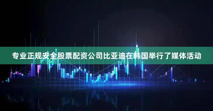 专业正规安全股票配资公司比亚迪在韩国举行了媒体活动
