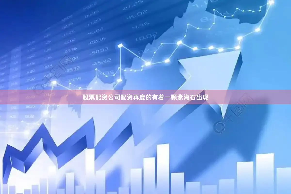 股票配资公司配资再度的有着一颗紫海石出现