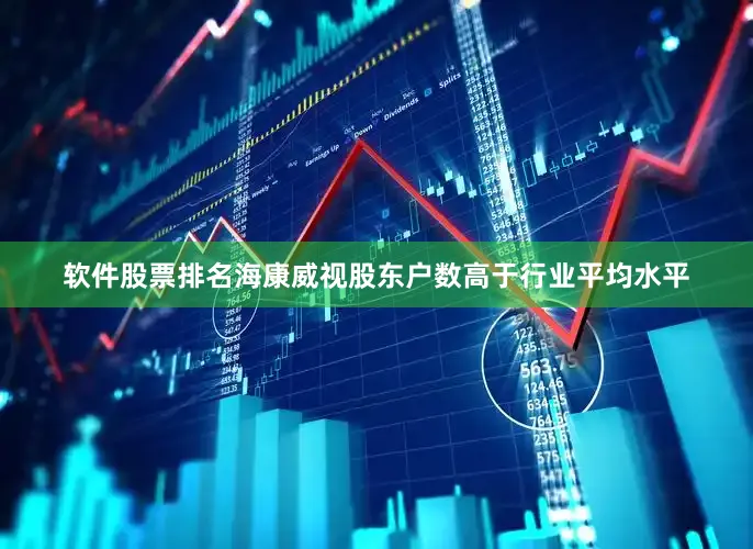 软件股票排名海康威视股东户数高于行业平均水平